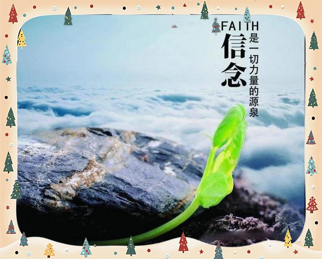 精心备战迎接挑战，取得耀眼胜利